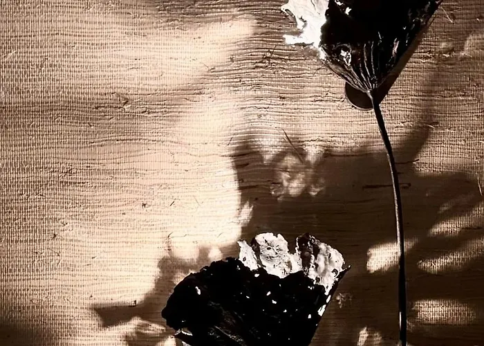 Luxury 2 Bedrooms Ocean View Iguazu