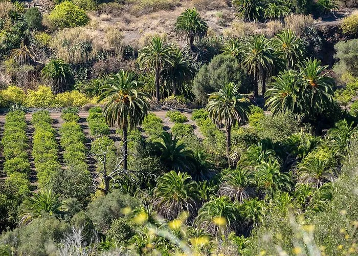 Luxury 2 Bedrooms Ocean View Iguazu * Playa del Inglés